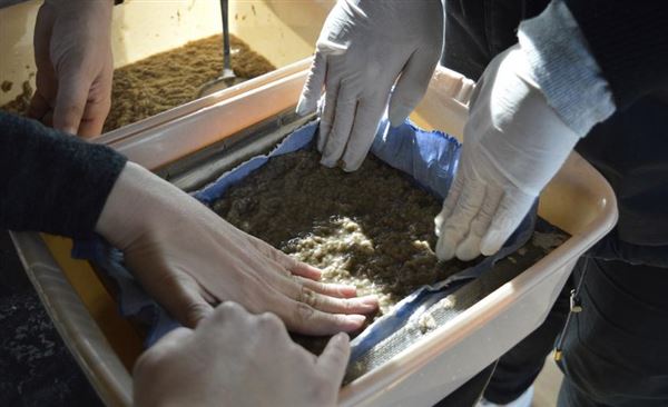 TETRA PAK: ΕΡΓΑΣΤΗΡΙΟ ΓΙΑ ΤΗΝ ΕΚΠΑΙΔΕΥΣΗ ΣΤΗΝ ΑΝΑΚΥΚΛΩΣΗ