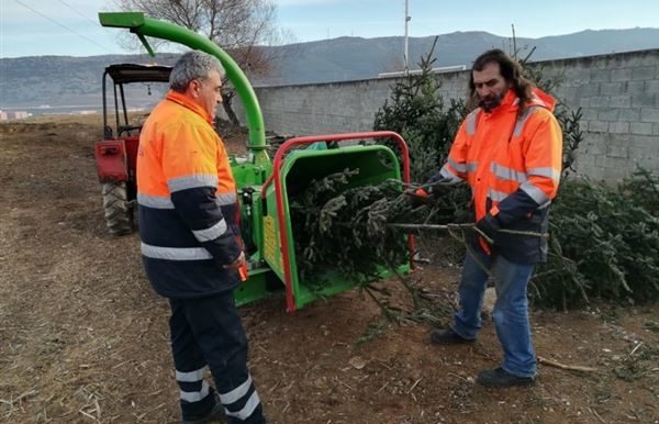 ΘΕΣΣΑΛΟΝΙΚΗ: ΠΟΥ ΜΠΟΡΕΙΤΕ ΝΑ ΑΝΑΚΥΚΛΩΣΕΤΕ ΤΑ ΧΡΙΣΤΟΥΓΕΝΝΙΑΤΙΚΑ ΔΕΝΤΡΑ