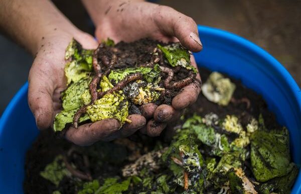 Κυκλική Οικονομία: Το 3o Φόρουμ για την Πρόληψη Αποβλήτων Τροφίμων στη Θεσσαλονίκη