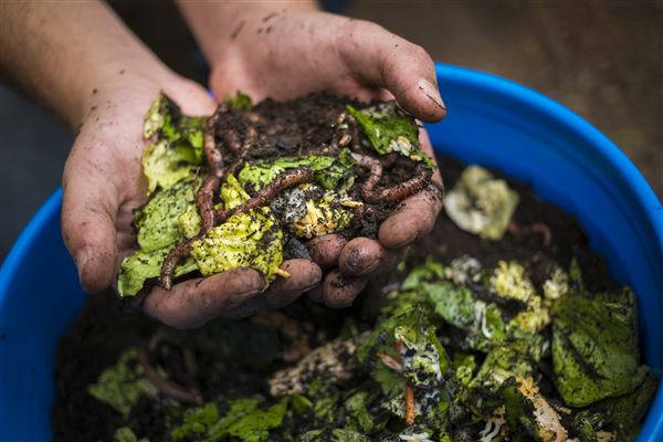 Κυκλική Οικονομία: Το 3o Φόρουμ για την Πρόληψη Αποβλήτων Τροφίμων στη Θεσσαλονίκη