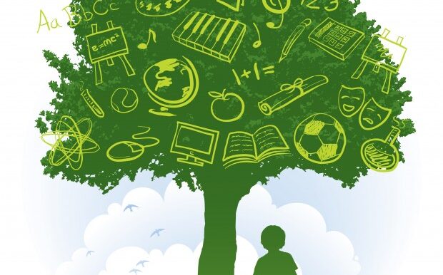 Η Περιβαλλοντική Εκπαίδευση στην καταπολέμηση της πλαστικής ρύπανσης