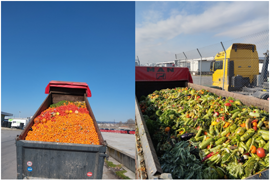 Κεντρική Αγορά Θεσσαλονίκης: Ανεβάζει ρυθμούς η ορθή διαχείριση απορριμμάτων