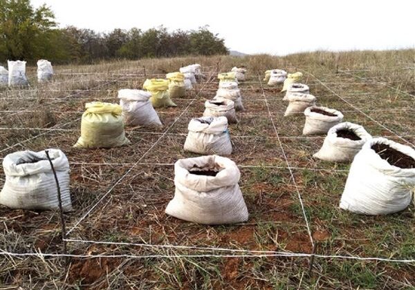 Κιλκίς: Μετά το σταρένιο καλαμάκι, τώρα ρίχνουν καφέ ως λίπασμα στο σιτάρι