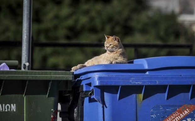 Έκπτωση στα τέλη θα έχουν οι δήμοι που ανακυκλώνουν σωστά