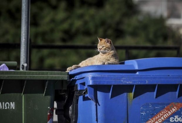 Έκπτωση στα τέλη θα έχουν οι δήμοι που ανακυκλώνουν σωστά