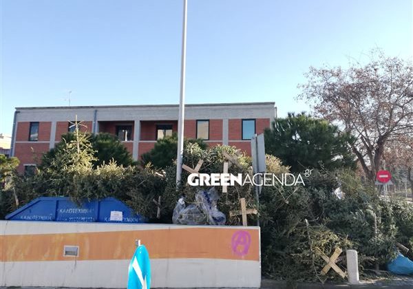 Θεσσαλονίκη: Πρόγραμμα ανακύκλωσης χριστουγεννιάτικων δέντρων